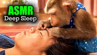 Real Monkey ASMR Grooming | Judy’s SATISFYING Hair Pick for DEEP TINGLY Sleep