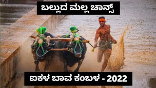 Balluda Malla Chance Race | Aikala Bava Kambala 2022 | 26-February-2022 | Namma Kambala