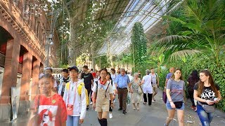 MADRID WALK 🇪🇸 Reina Sofia Museum to Royal Botanical Garden via Madrid Atocha Train Station | SPAIN