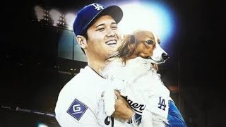 大谷翔平　デコピンの逃走劇に米メディア爆笑「デコイが真のＭＶＰ」日本でもトレンド入り「ワロタｗ」「大谷さんが抱き寄せた直後に」