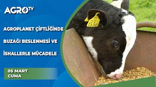 Agroplanet Çiftliğinde Buzağı Beslenmesi ve İshallerle Mücadele / Hayvancılığa Genel Bakış - Agro TV