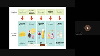 Role of Fermentation Technology in Sustainable Food Production – 2024 09 28 14 07 IST – Recording 3