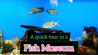 Ratnagiri Marine fish museum / place to visit in ratnagiri