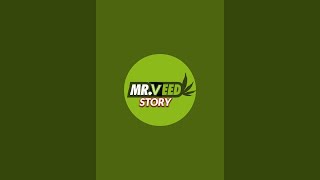 Mr VEED STORY is live thank you for coming good afternoon😊