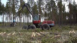 Valmet harvester processing pinetrees