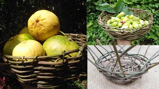 Primitive Technology Quick and Easy Traditional Basket Weaving.