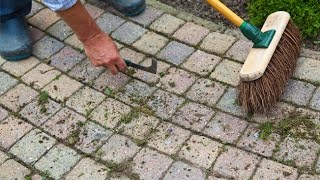 Voici une astuce pour éradiquer les mauvaises herbes