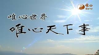 世界和平推手混元禪師【唯心天下事4305】｜ WXTV唯心電視台