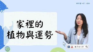 家裡的植物與運勢 | 風水喜忌 (繁/簡 雙語字幕)