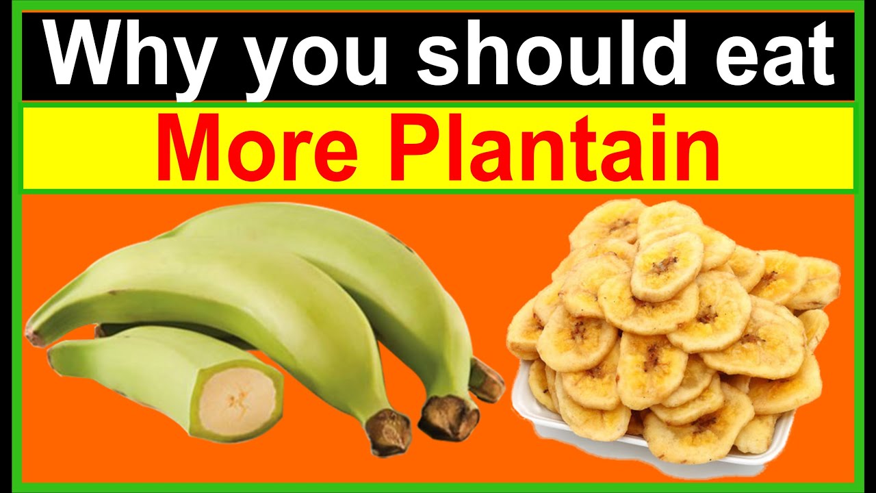 Plantain Nutrition Facts And Health Benefits 45 Off Plantain Nutrition Facts And Health Benefits 45 Off