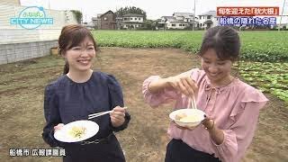 【船橋の隠れた名産「秋大根」】【食で元気に！船橋の食育活動】ふなばしCITYNEWS令和2年11月1日放送