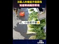 网友：宠物界的内卷王！