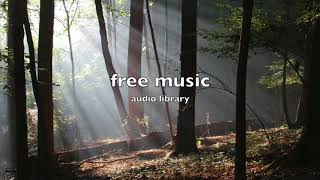 [No Copyright Music] Acoustic Folk Instrumental - Hyde Free Instrumentals