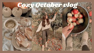 DAYS IN THE LIFE | paint & sip night, homemade pumpkin soup, apple picking & new in H&M haul 🍂