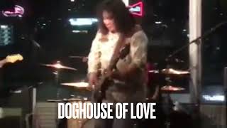 Doghouse of love/Tomi Isobe\u0026Blues Dogs