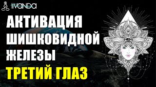 Активация шишковидной железы Третий Глаз. Что важно? 💎 Ливанда