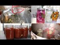 discover Canning and Preserving Food step-by-step guide  I Canning 101  - The Basics for Beginners
