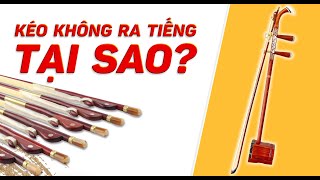 Hướng Dẫn Lắp Vĩ Đàn Nhị Chi Tiết Cho Người Mới Bắt Đầu