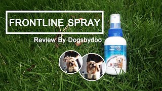 Review|Frontline Spray สเปรย์กำจัดเห็บหมัดหมา-แมว