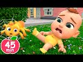 Boo Boo Bugs Song | Insects Version | Newborn Baby Songs & Nursery Rhymes