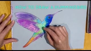 Beginners' - How To Draw A Hummingbird