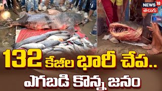 Huge 132 kg Fish Sells at Hailakandi Market Attracts Large Crowd | Assam | News18 Telugu