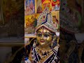 ye sunahani si dagar dekhna de☺️ laddugopal mathura vrindavab reel viralshort krishna laddu jayjay