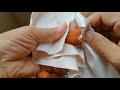 สละสุมาลี ปอกเปลือกสละไม่ให้หนามตำมือ how to peel the salacca by ubonsri