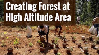 മൂന്നാറിലെ മിയാവാക്കി കാട് | Creating Miyawaki Micro Forest at High Altitude Area in Munnar, Kerala