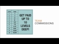 nerium compensation plan