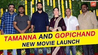 Tamanna and Gopichand New Movie Launch Event | Sampath Nandi | Tollywood Updates | YOYO TV Channel
