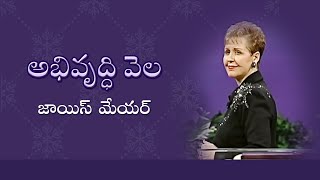 అభివృద్ధి వెల - The Price Of Progress - Joyce Meyer