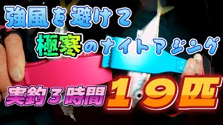 2025.1.18強風を避けてナイトアジング