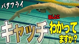 【バタフライ】意外と知らないキャッチの意味！フラットに泳ぐための重要なポイントです！#174