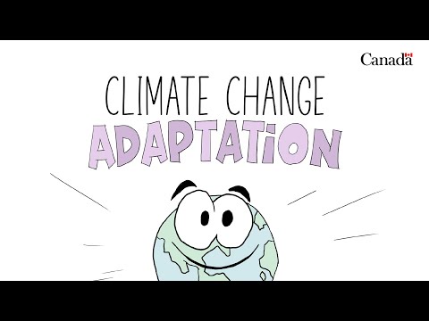 What is adaptation to climate change?