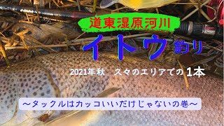 【2021年秋　道東湿原河川】イトウ釣り　タックルは格好だけじゃないの巻