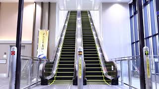 【逆走防止ブザー放送】JR新高岡駅ホーム　日立製