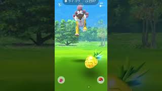 【ポケモンGO】野生のライコウをパイルで捕獲せよ！ #shorts