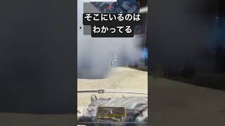 【CoDモバイル】そこにいるのは分かってる【コンタクトグレネード】 #codm #codmobile