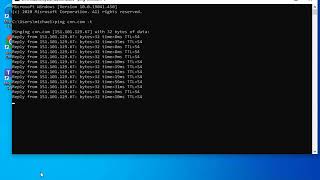 How to Test Website Connectivity using ping -t command | WhatisMyLocalIP