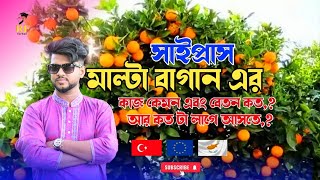 সাইপ্রাস মাল্টা ও আপেল বাগান এর কাজ কেমন, আর বেতন কত পড়বে, New Video 2024,