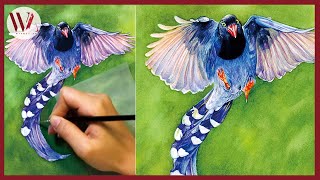 How to Paint a Bird- Watercolor Tutorial- Taiwan Blue Magpie- Windy Shih