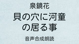 【朗読】泉鏡花「貝の穴に河童の居る事」（青空文庫）【字幕付】