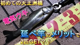 初めての天王洲橋釣行☆電気ウキでシーバス釣り！延べ竿のメリットで攻める☆