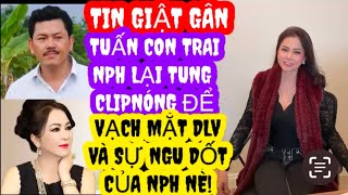 TIN CHẤNĐỘNG CON TRAI BÀ NPH TUNG BẰNGCHỨNG ĐỘNGTRỜI VỀ DLV LƯỜNGGẠT VÀ TRÁOTRỞ