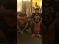 au nu tulaika cover by tyquiengco s boys