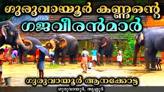 Guruvayur Anakkotta| Punnathur Anakkotta| Guruvayur Elephants