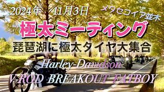 2024年11月3日　琵琶湖に極太タイヤのハーレー大集合！ 極太ミーティング　Harley-Davidson VROD BREAKOUT FATBOY ROCKER Cなどメタセコイア並木に大集合