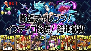 【パズドラ】降臨チャレンジ！【ノーコン】 インディゴ降臨！【7×6マス】 超地獄級 (2015.11.20-12.06) ラー＝ドラゴン×太陽神・ラー＝ドラゴン