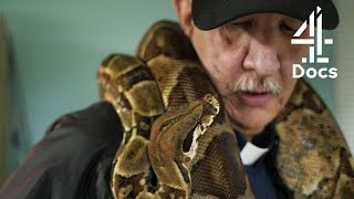 Service Animals You've Not Seen Before: Snake, Mini Horse \u0026 More